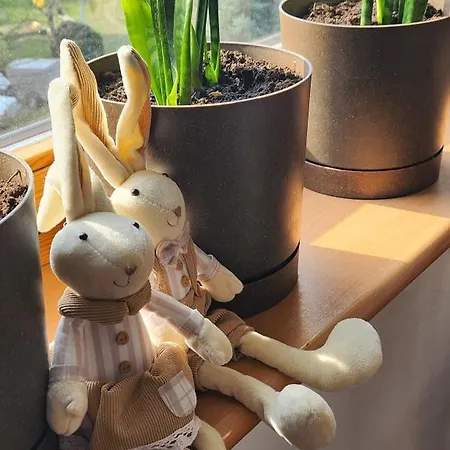 Nature Appartamento Cracovia