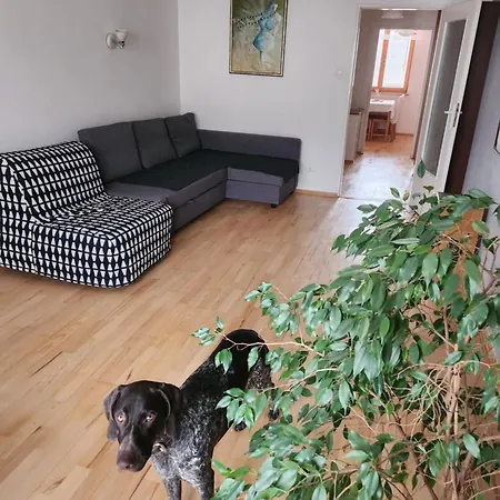 Apartment Nature