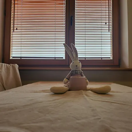 自然酒店 克拉科夫