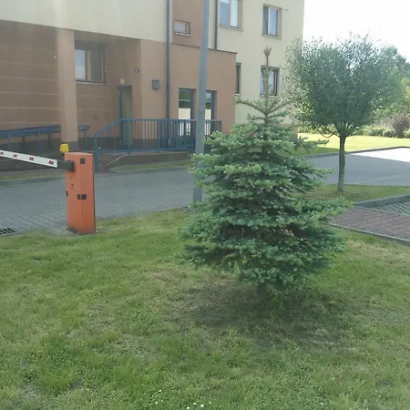 Nature *