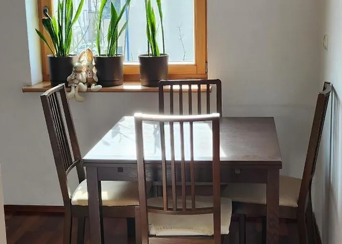 自然酒店 克拉科夫