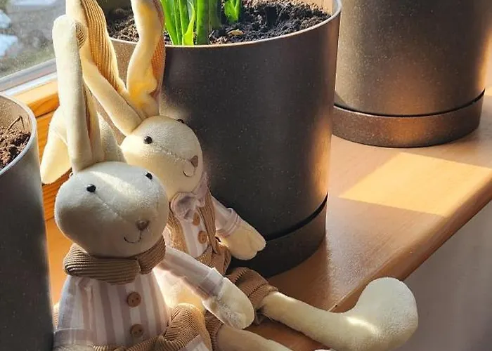 Nature Apartman Krakkó