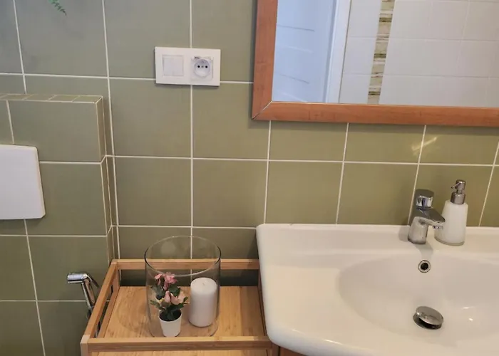 自然酒店 公寓 克拉科夫