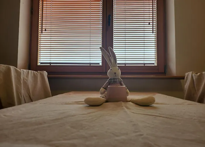 自然酒店 克拉科夫