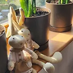 Nature Appartement Cracovie